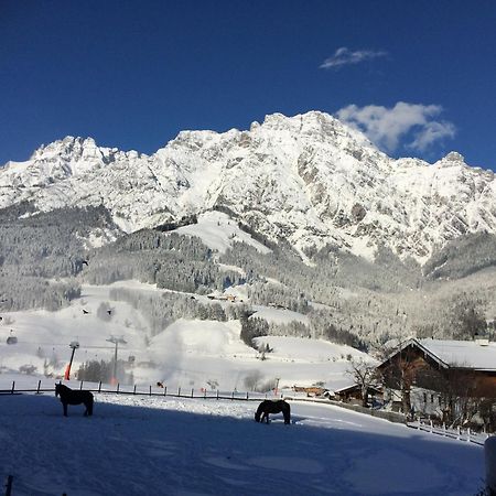 Stockingbauer Villa Leogang Exteriör bild