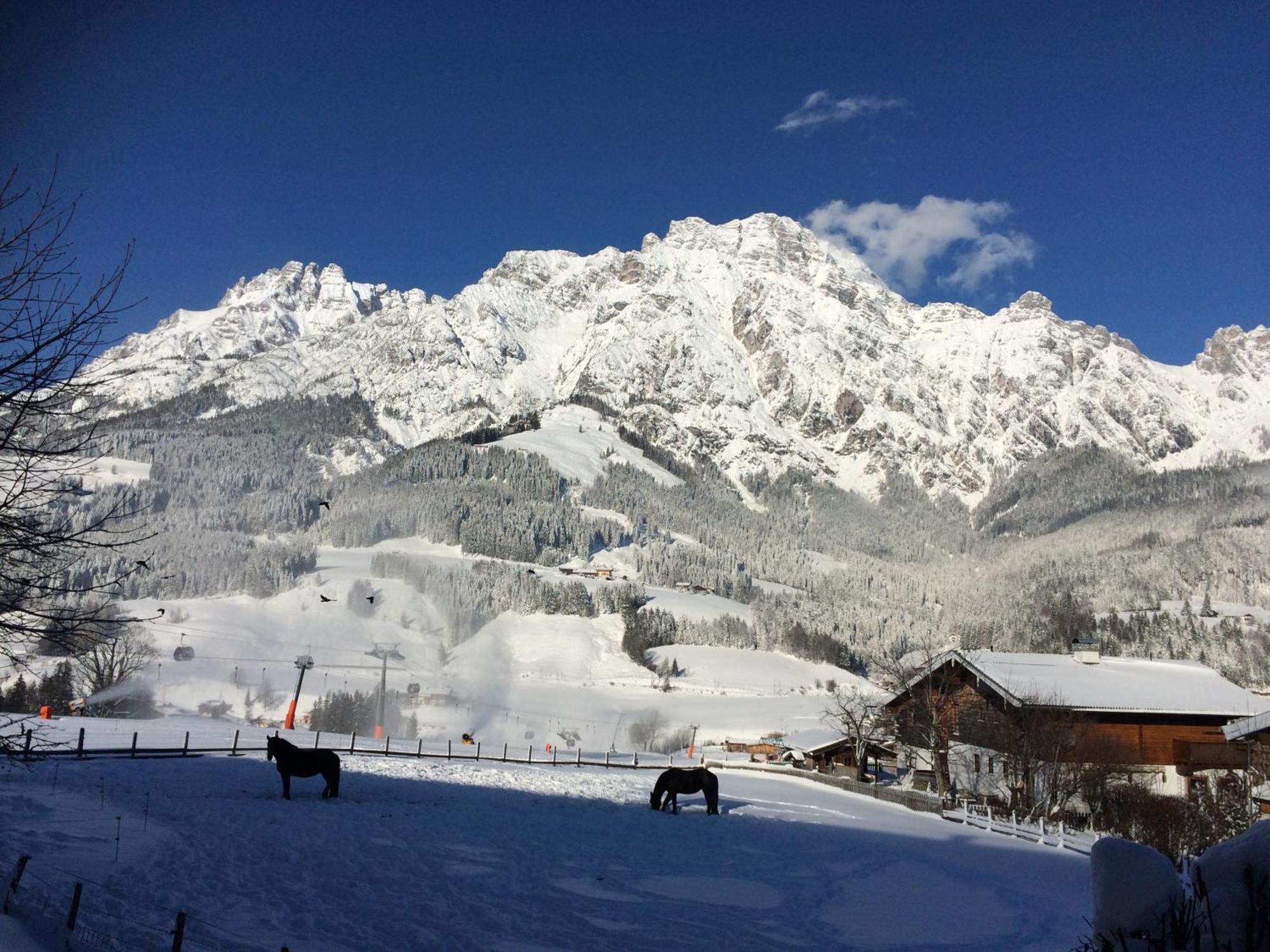 Stockingbauer Villa Leogang Exteriör bild
